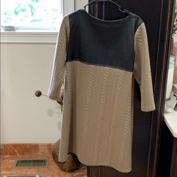 Leather Twill Dress - Picture 2 of 4